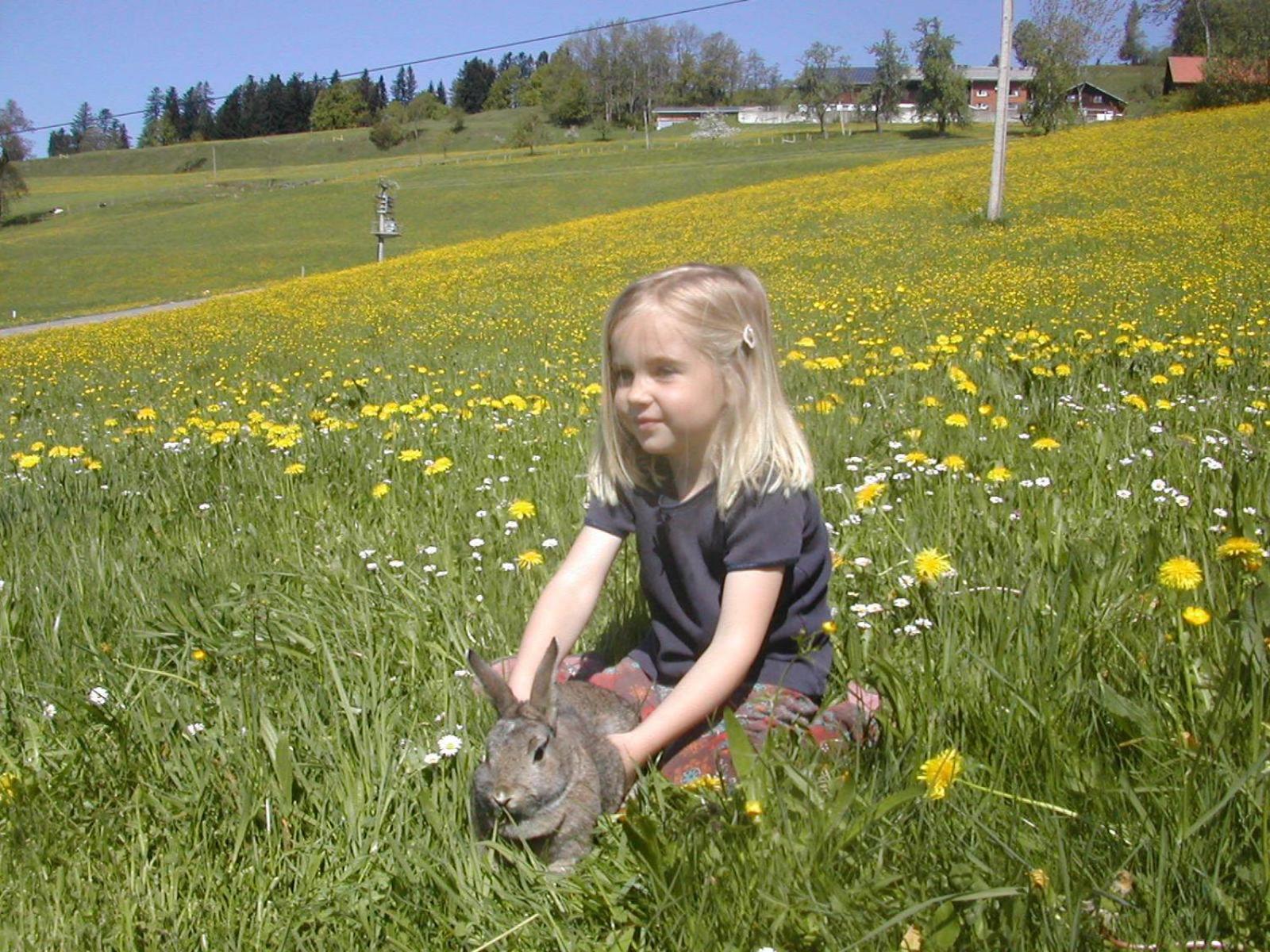 Farm stay Ferienbauernhof Roth